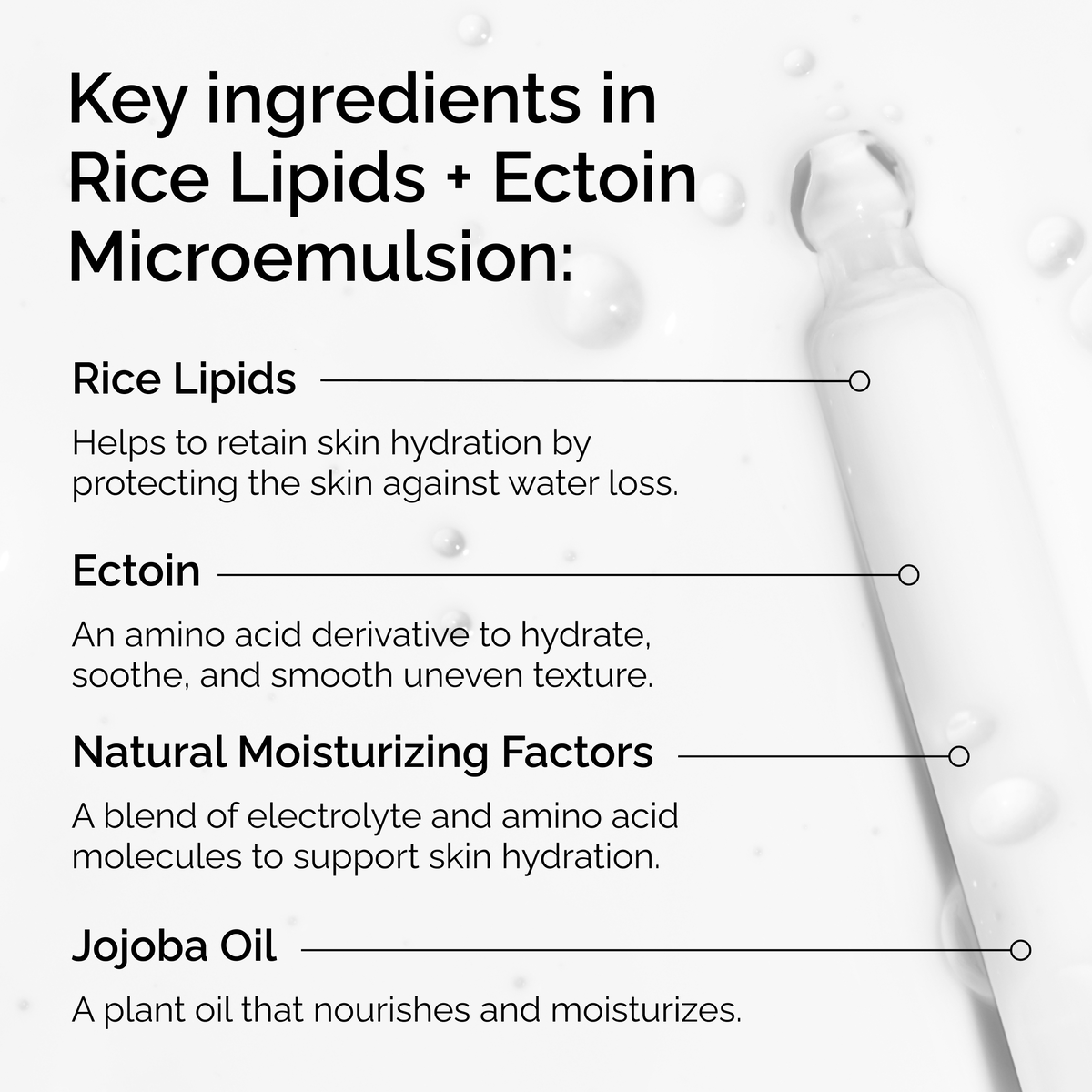 rice-lipids-ectoin-microemulsion-g8 ord-rice-lipids-ectoin-microemulsion-key-ingredients.png