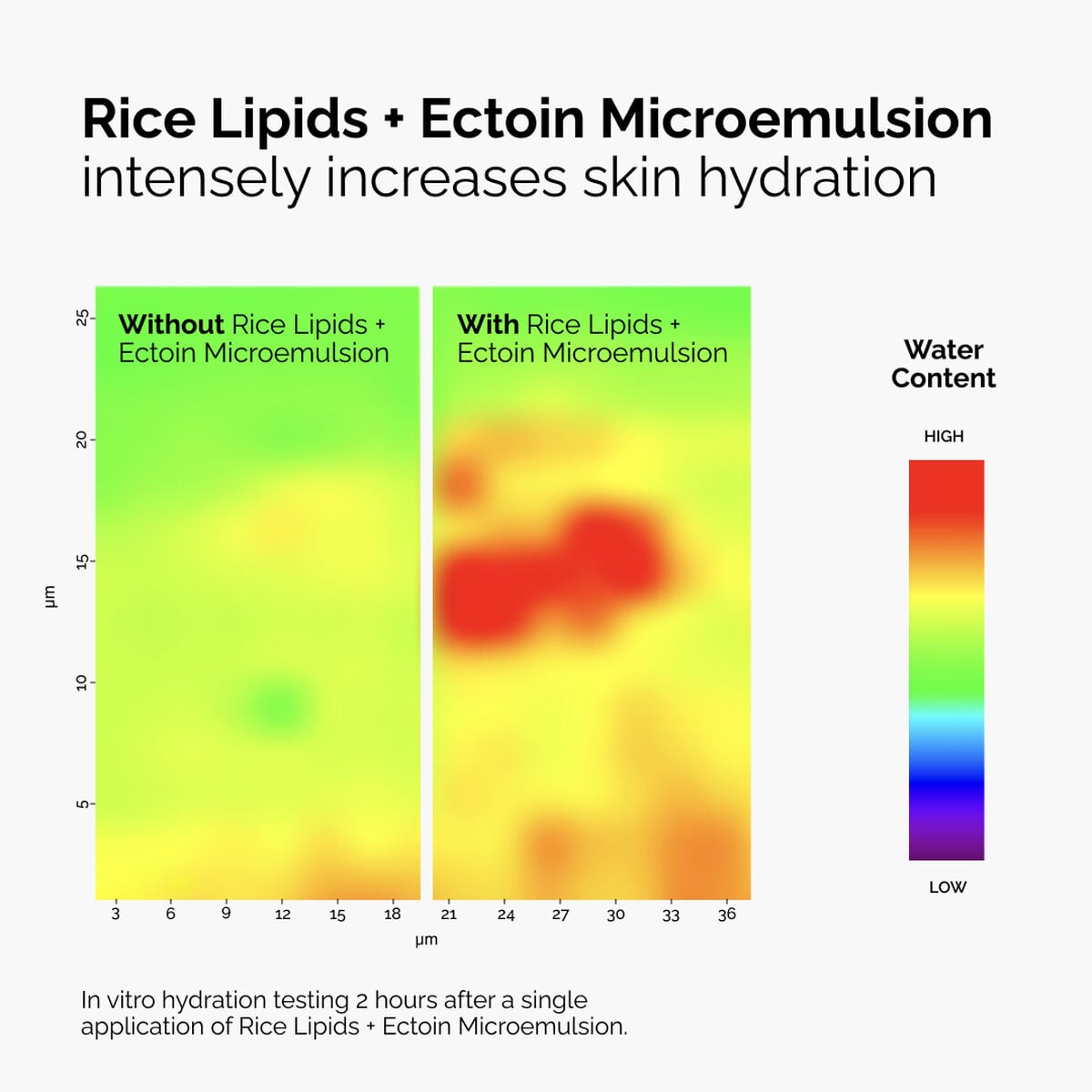 rice-lipids-ectoin-microemulsion-g8 ord-rice-lipids-ectoin-microemulsion-thermal-before-after.jpg
